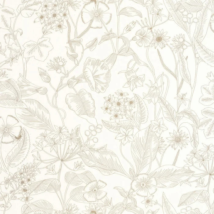 LIGHTNESS Wallpaper