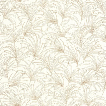 White/Gold