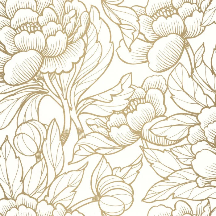 ENVERGURE Wallpaper