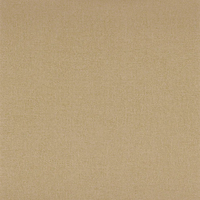 OCTA Wallpaper