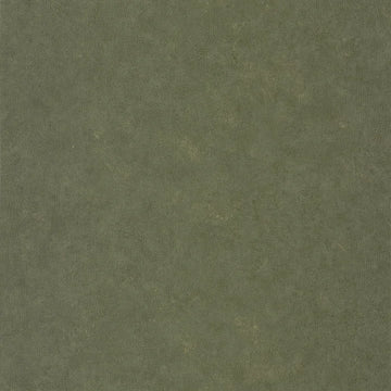 Golden Khaki