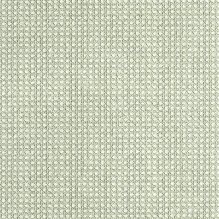 CANNAGE Wallpaper