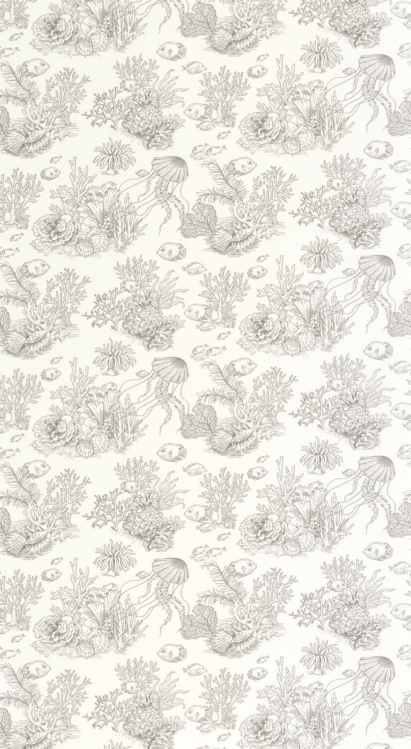 CÔTE SAUVAGE Wallpaper