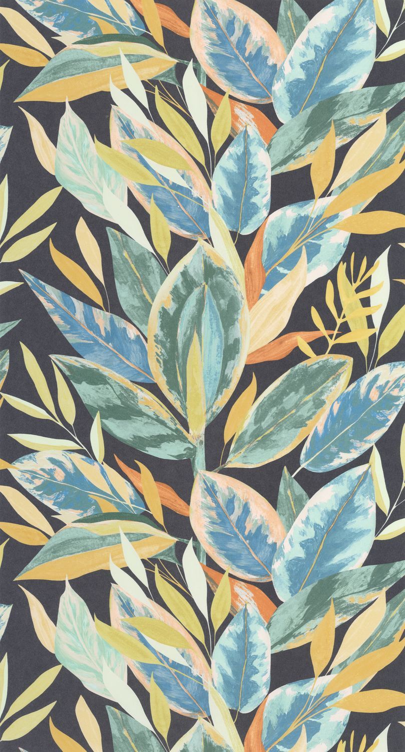FICUS Wallpaper