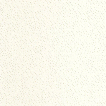 Iridescent Beige White