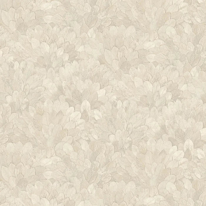 FEIJOA Wallpaper