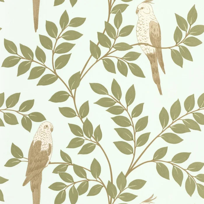 EQUATEUR Wallpaper