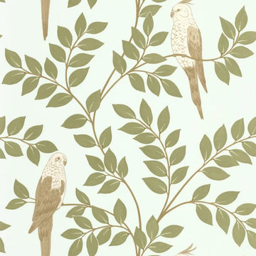 Khaki Blue