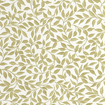 Khaki Green