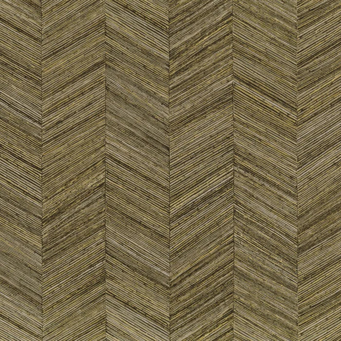 OCOTEA Wallpaper