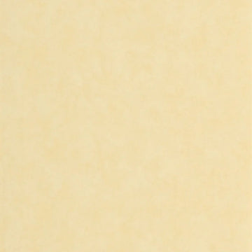 Lemonade Yellow