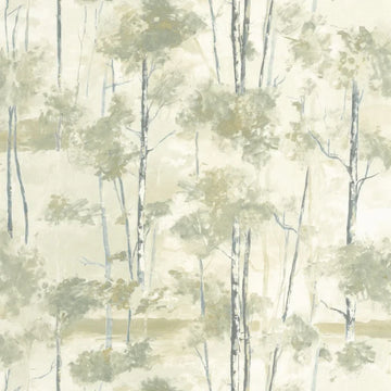 Lichen