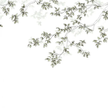 Lichen