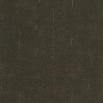 Black Licorice