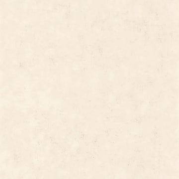 Light Beige Taupe