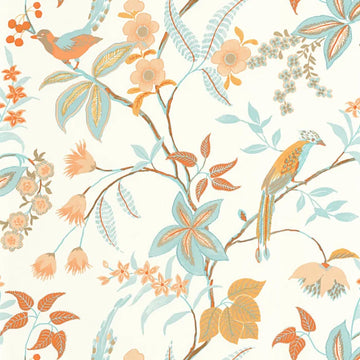 Light Blue Orange