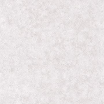 Light Gray Concrete