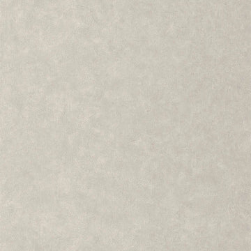 Light Taupe