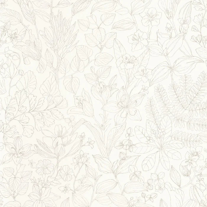 ESQUISSE Wallpaper