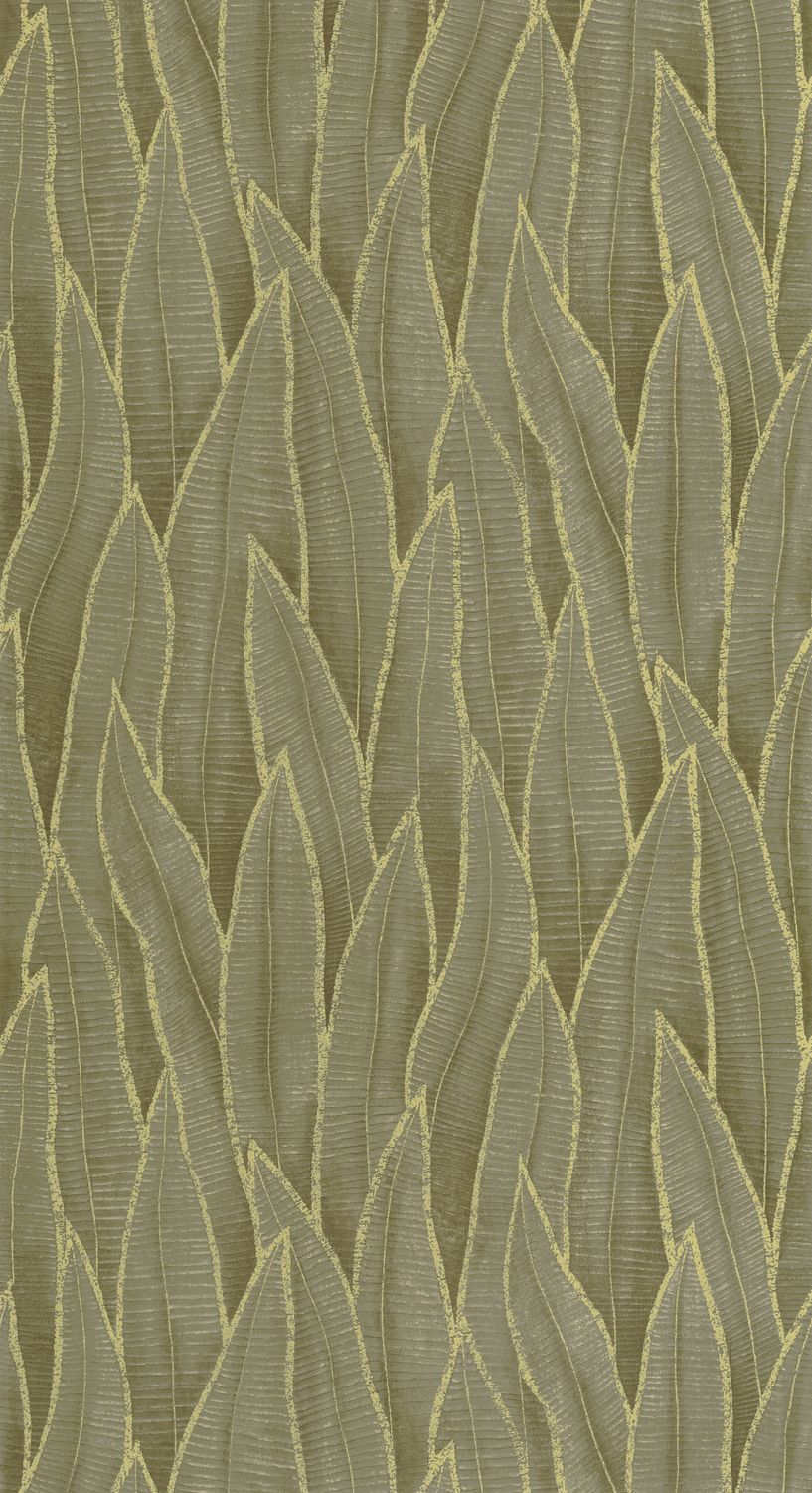 SANSEVIERIA Wallpaper