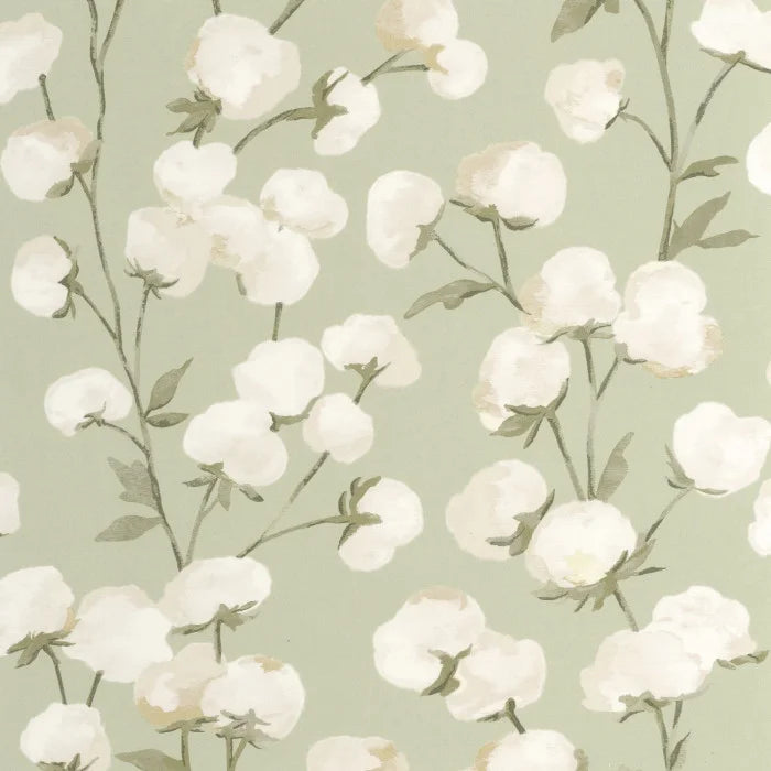COTTON FLOWER Wallpaper