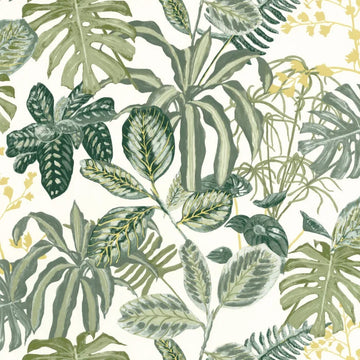 Moss Green