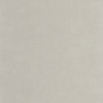 Mouse Gray