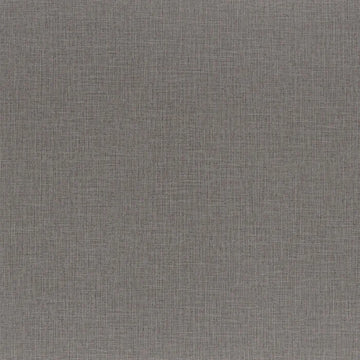 Mouse Gray