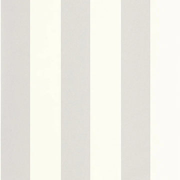 Mouse Gray