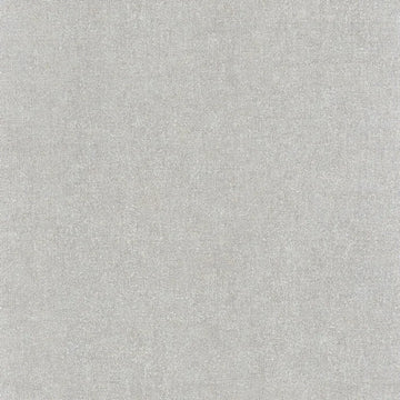 Mouse Gray