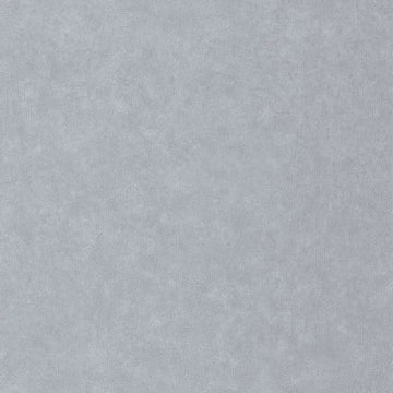 Mouse Gray