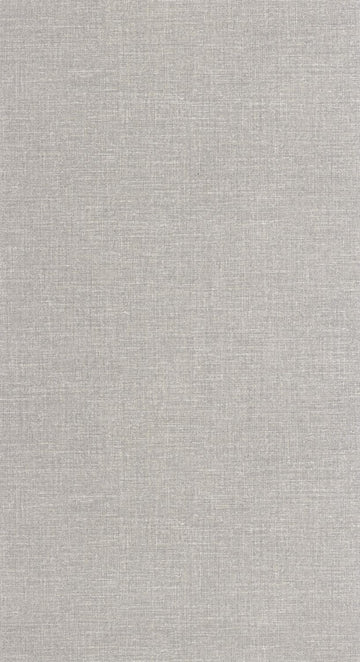 Mouse Grey
