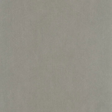 Mousse Gray