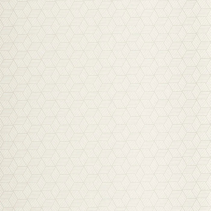 CONNEXIONS Wallpaper