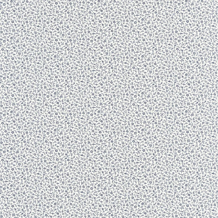 MYOSOTIS Wallpaper