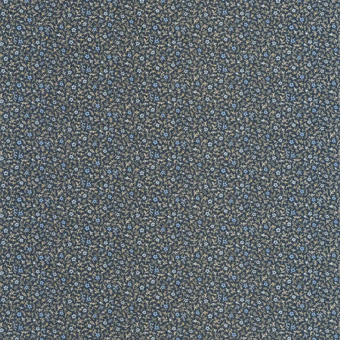 MYOSOTIS Wallpaper