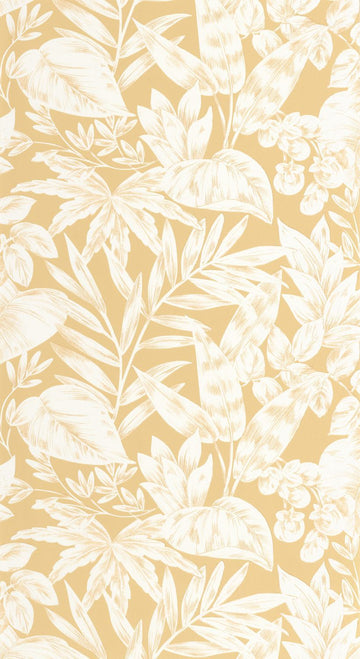 Ochre