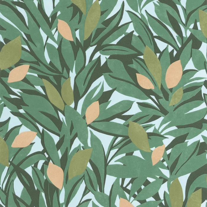CASSIS Wallpaper