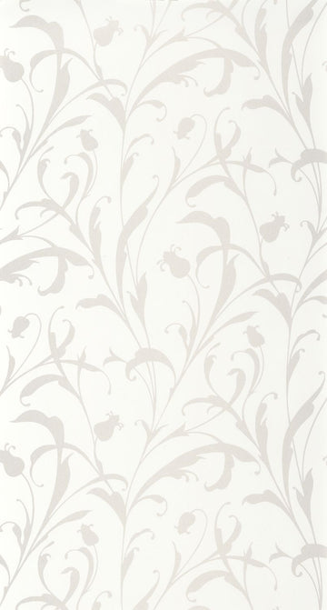 Beige Parchment