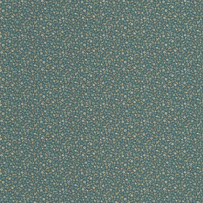 MYOSOTIS Wallpaper