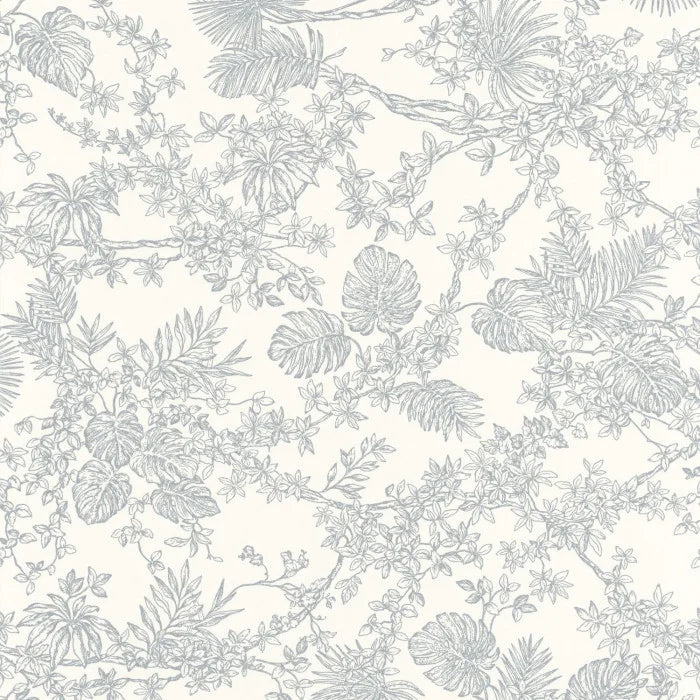 JARDIN DES PLANTES Wallpaper