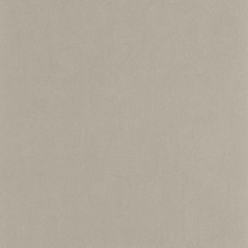 Pewter Gray