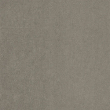 Pigeon Grey