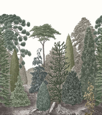 Pine Green