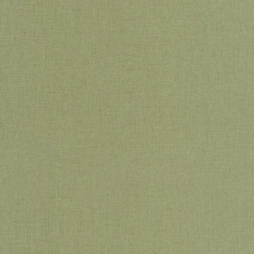 Pistachio Green