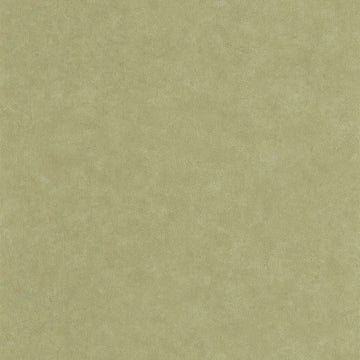 Pistachio Green