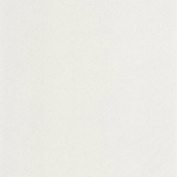 Polar White