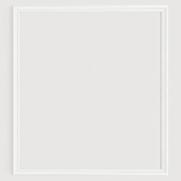 Polar White