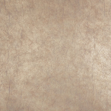 Powdered Platinum Beige