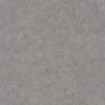 Raw Concrete Gray
